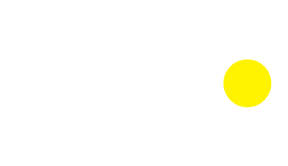 Logo DLV